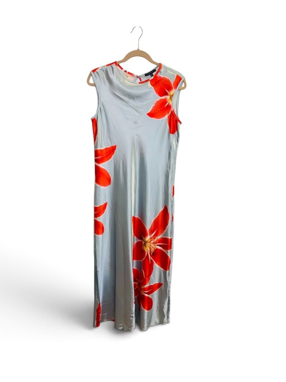 NWT Sleeveless Ice Blue / Gray Maxi Dress with Vibrant Red Floral Design